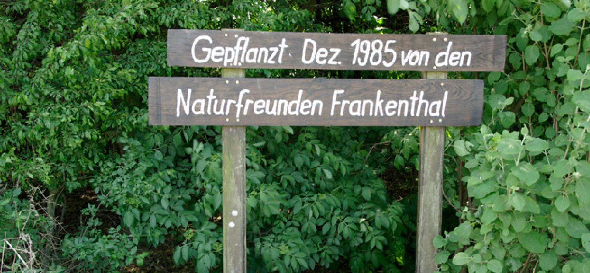 Umweltschutz bei den NaturFreunden